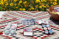Picture of the essential bundle in a prairie. Essential bundle includes pack of 1/1 counters, keyword counters and variety pack of effect dials.